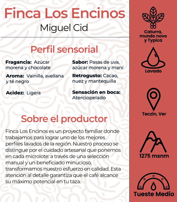 Café de Especialidad: Finca Los Encinos, Texin, Veracruz (copia)